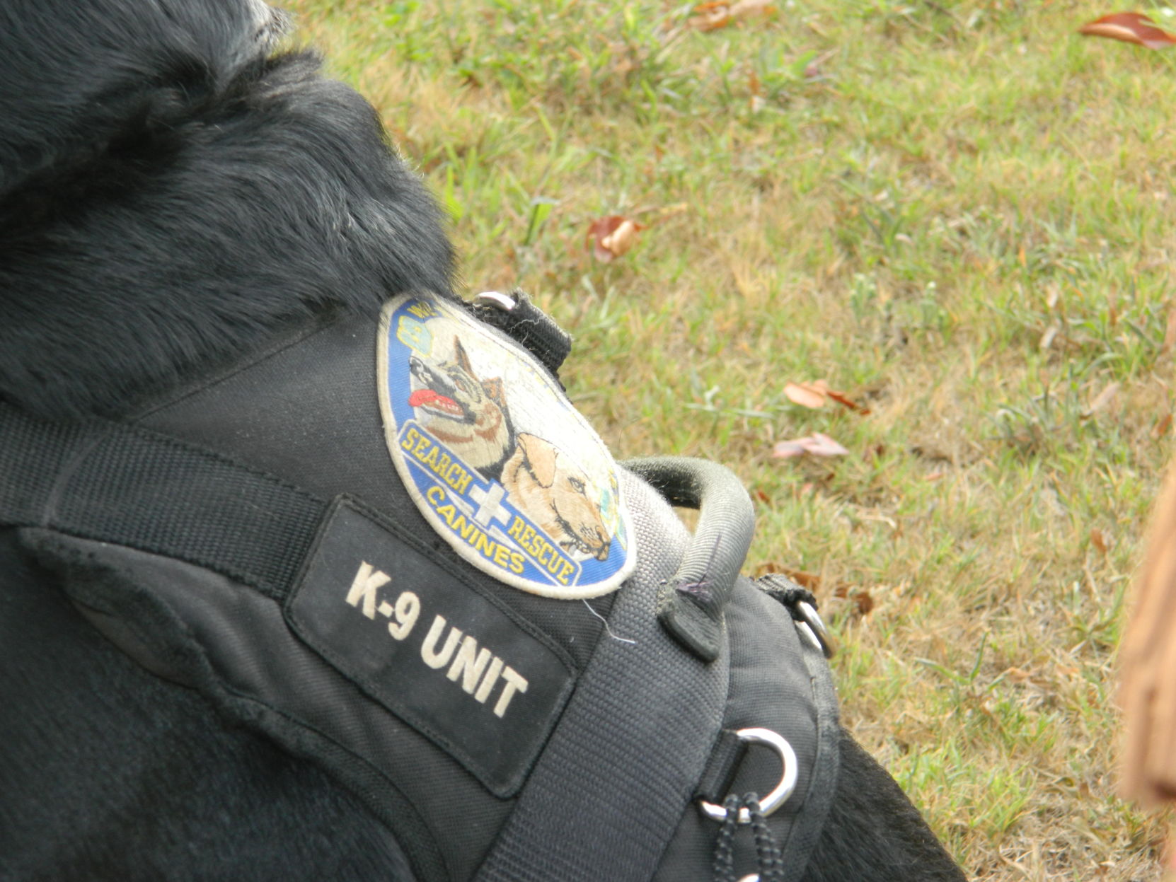 9-11 Memorial Walk (51).JPG